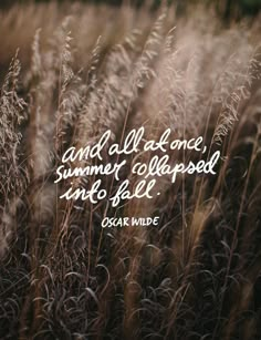 some tall grass with the quote and all at once, summer collapsed into fall