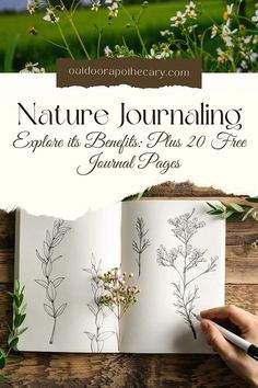 an open book with flowers on it and the title nature journaling explore its branches plus 20 free journal pages