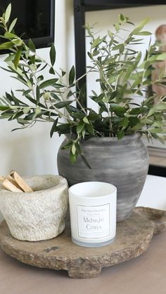 a candle and potted plant on a table