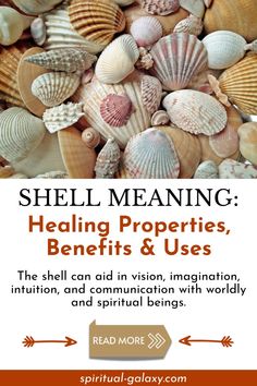 shells with the words shell meaning on it and an image of some sea shells in front of