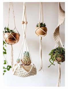 various hanging plants and potted plants in pots on hooks, with white walls behind them