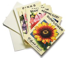 four postcards with flowers on them sitting next to each other