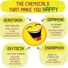 Endorphins: Your brain naturally produces these neurotransmitters in response to pain or extreme exertion to take the edge off and generally make you feel amazing. Try these tactics to coax your body into making more endorphins: 1. Chocolate. cocoa contains mood-boosting substances such as phenethylamine an organic compound that gives your body an endorphin boost and theobromine a chemical that suppresses pain so you can feel more pleasure. 2. Eat your favorite food. All palatable foods make you Nervus Vagus, Brain Facts, Happy Hormones, Mental Training, Medical Knowledge, Health Info, Health Facts, Brain Health, Health Awareness