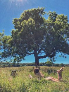 two people laying in the grass under a tree