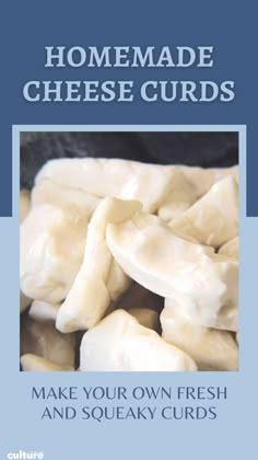 homemade cheese curls made your own fresh and squeaky curds, by elizabeth m smith