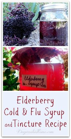 Cold Remedies Fast, Tinctures Recipes, Elderberry Syrup Recipe, Elderberry Recipes, Cold Sores Remedies, Elderberry Syrup, Herbal Tinctures, Natural Cold Remedies, Cold Home Remedies