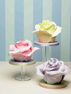 three different colored roses sitting on top of each other