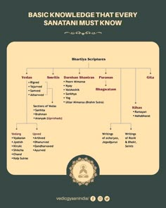 a family tree is shown with the names of people in each language and numbers on it