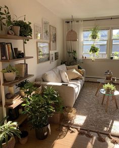 a living room filled with lots of plants next to a couch and coffee table on top of a hard wood floor