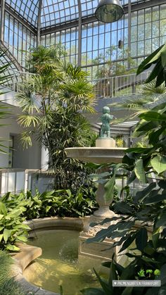 the inside of a building with many plants and trees in it's center area