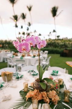 an orchid centerpiece on a table at a tropical themed wedding in the middle of palm trees