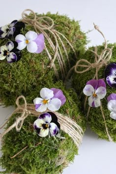 purple and white pansies are tied to moss