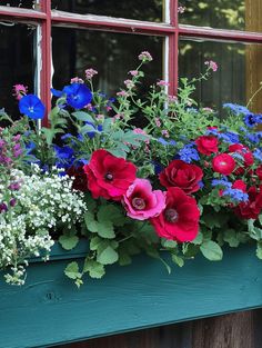 a window box filled with lots of colorful flowers