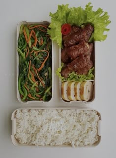 two trays filled with rice, meat and veggies next to each other