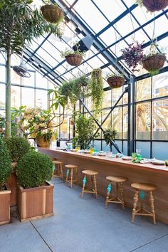 a long table with several plants in pots on the top and two stools at the bottom