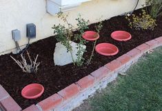 three red bowls sitting in the middle of a flower bed next to a white wall