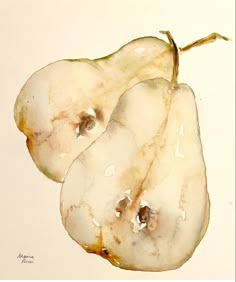 two pears sitting on top of each other in the middle of watercolor and ink