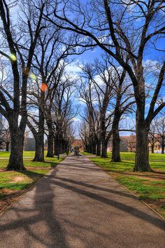 people walking down a dirt road in a park