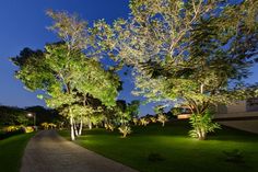 a pathway in the middle of a park at night with trees and grass on both sides