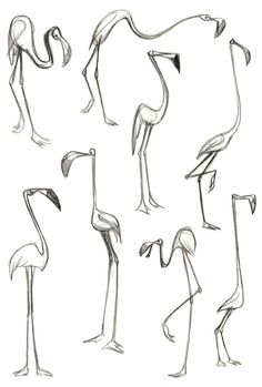 the different types of flamingos are shown in this drawing