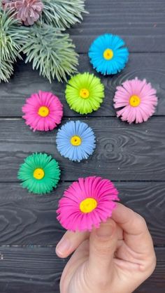 someone is holding some colorful flowers in their hand