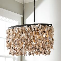 a chandelier made out of seashells hangs from the ceiling in front of a window