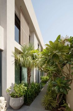 an outside view of a building with plants and potted trees