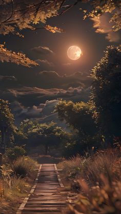 a full moon is seen over a road in the night sky with trees and bushes