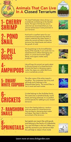 an info sheet describing the different types of animals that can live in a closed terrarium