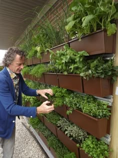 a man in a blue jacket is looking at some green plants on a wall that has brown planters attached to it