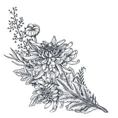 an ink drawing of flowers and leaves on a white background stock photo, images and royalty