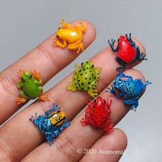 five different colored frog figurines sitting on someone's hand with their fingers