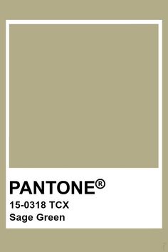 pantone's sage green color is shown with the text pantone on it