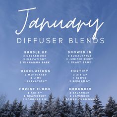 January Diffuser Blends, Perfume Recipes