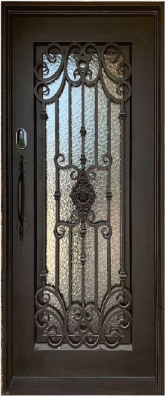 an iron door with glass panels on the front and side doors, which have decorative designs