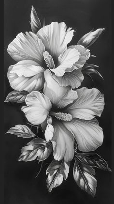 a black and white drawing of two flowers