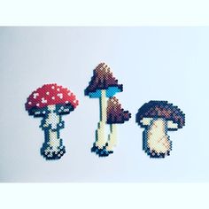 three different types of mushrooms are shown in pixel art style, including one mushroom and the other