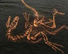 an image of a skeleton on the ground