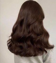 Chestnut brown boasts a beautiful blend of red and brown tones. It's a popular choice for a natural look. Mocha Brown Hair, Hair Stages, Mocha Hair, Chestnut Brown Hair, Chestnut Hair, Chestnut Hair Color