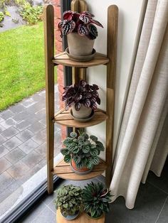 Wooden Plant Stand, Corner Plant, نباتات منزلية, Apartment Plants, Room Cozy, Air Dry Clay Projects, Plant Decor Indoor, Plant Stand Indoor, Future Apartment