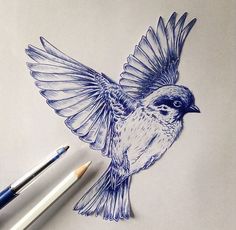 a drawing of a bird with its wings spread out and two pencils next to it