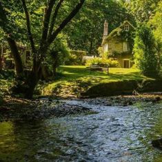 a river running through a lush green forest next to a small house with a bench on the other side