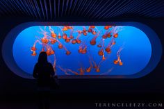 a woman standing in front of a blue wall with jelly fish on it and orange lights