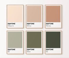 six pantone color swatches on a white background