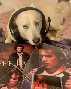 a white dog wearing headphones on top of a bed next to cd's