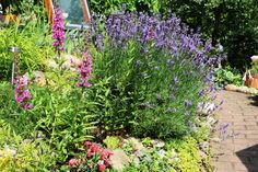 a garden filled with lots of different types of flowers next to a brick walkway and trees