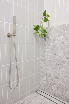 a shower head with a plant in it next to a white tiled wall and floor