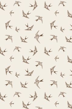 a flock of birds flying across a white sky filled with lots of small gray birds