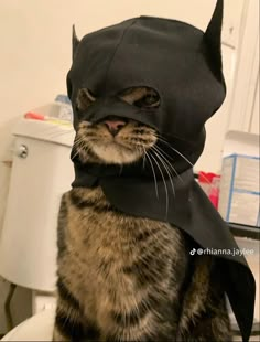 a cat wearing a batman costume sitting on top of a desk