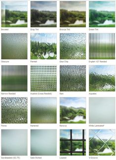 many different types of frosted glass with trees in the background